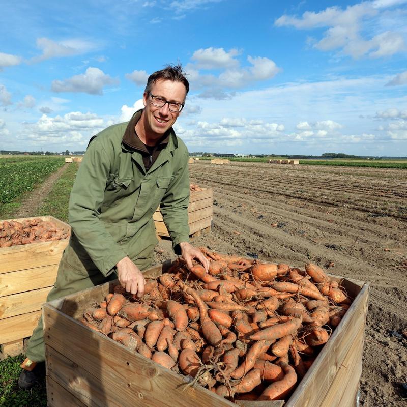 Johan van Beek